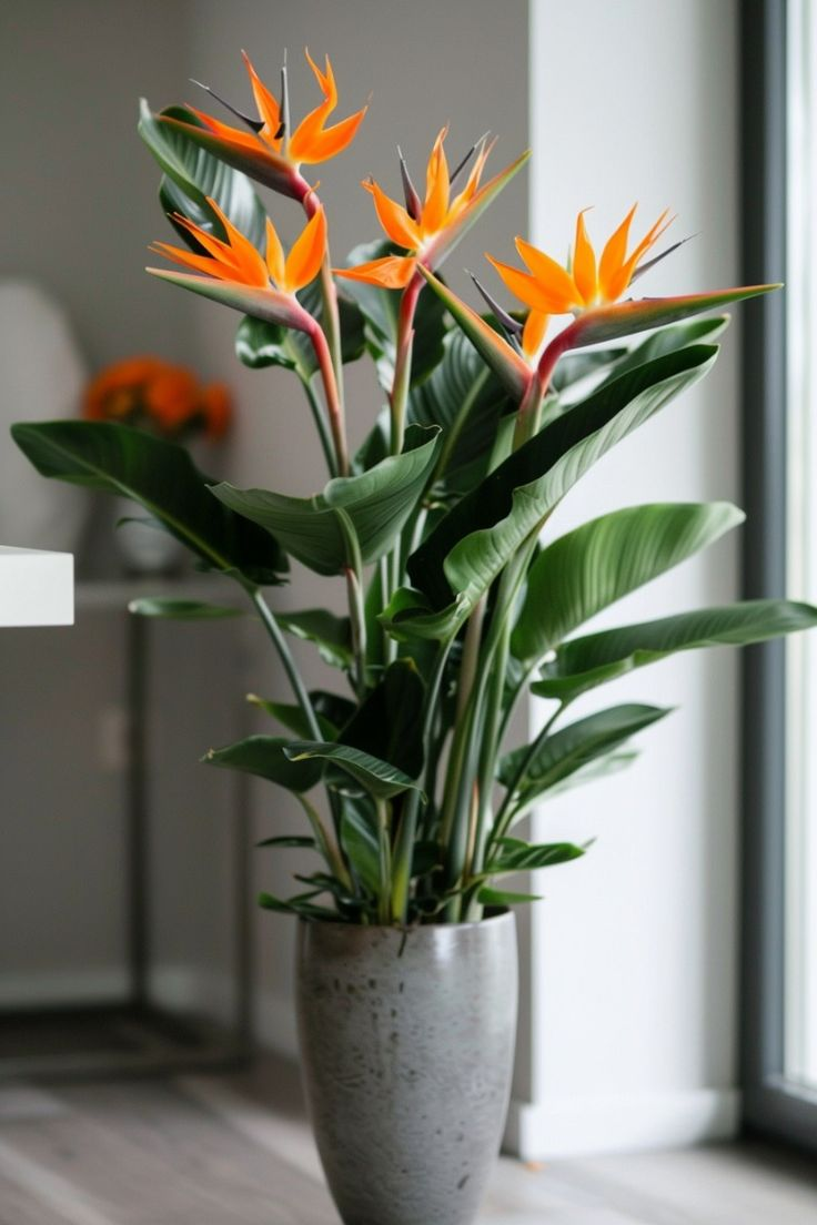 Фото с pinterest