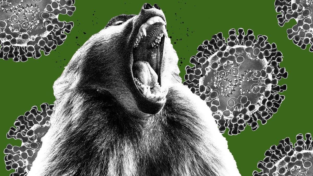 «Обезьянья оспа - иллюстрация»