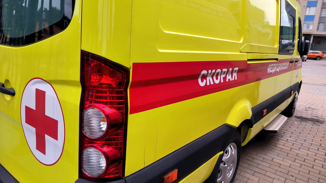    Фото: Maksim Konstantinov/Global Look Press