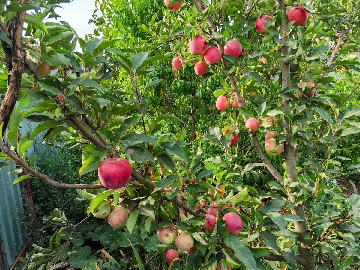 Фото Натальи Мироновой