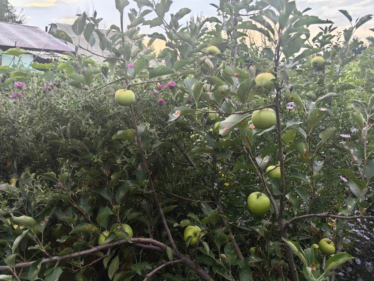 Фото Натальи Мироновой