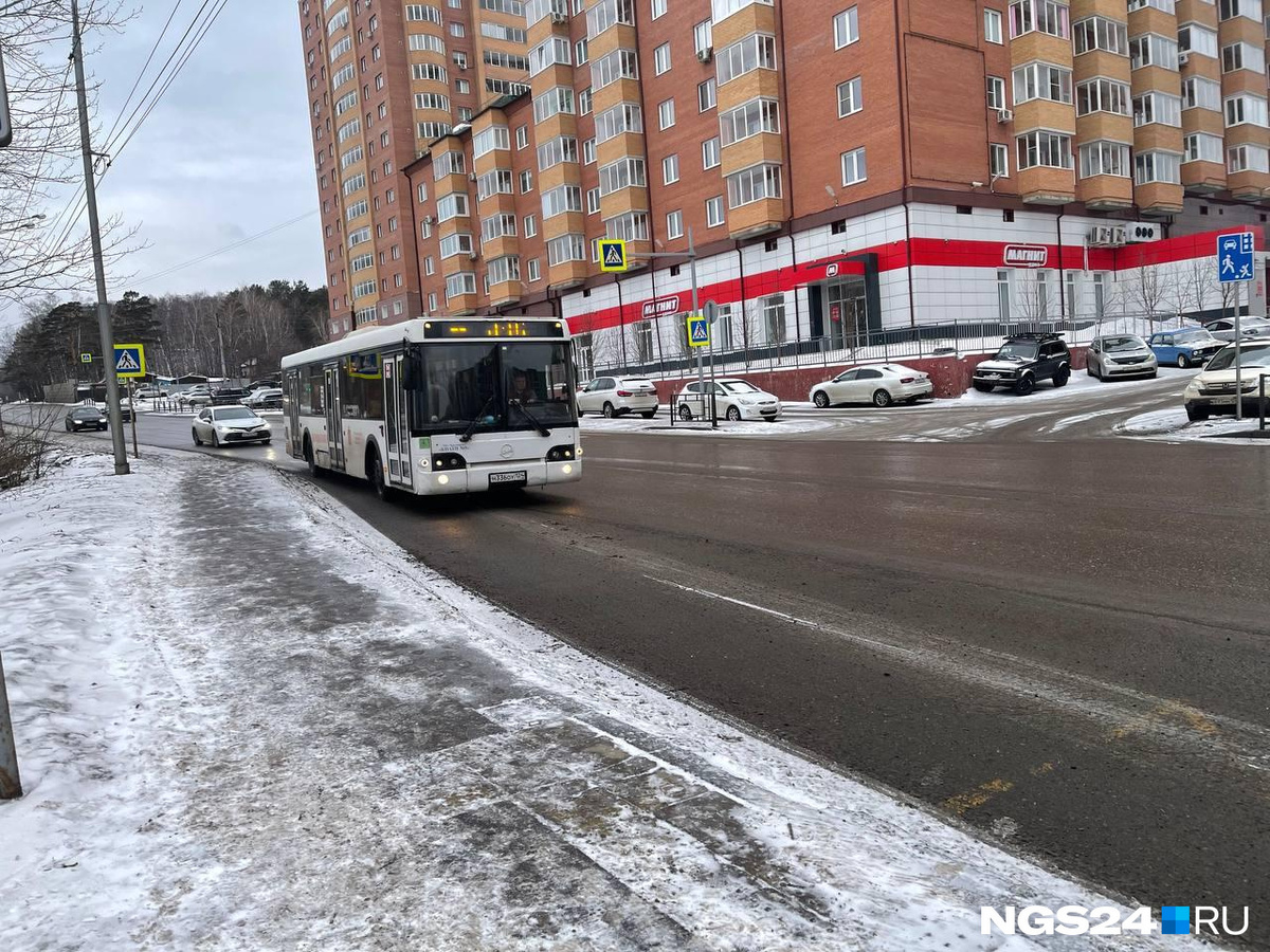 Фото: Василина Владимирова, NGS24.RU