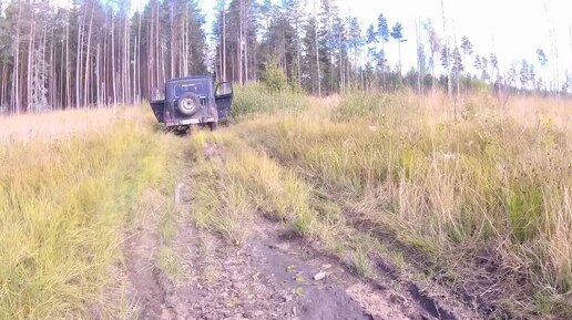 Лесная грибная сушилка в деле!