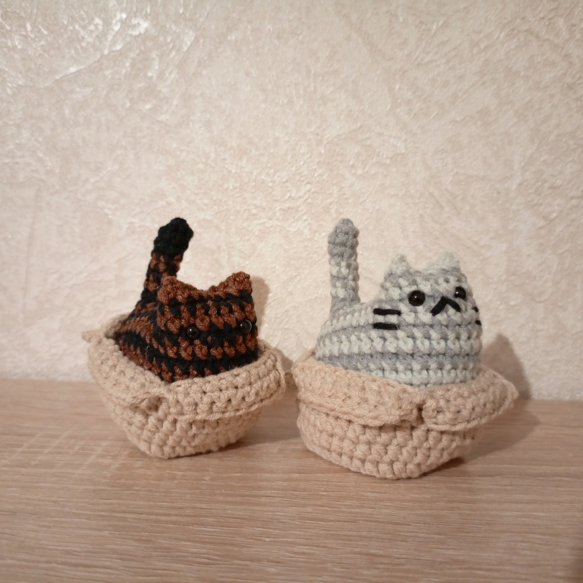 Котики в коробочках