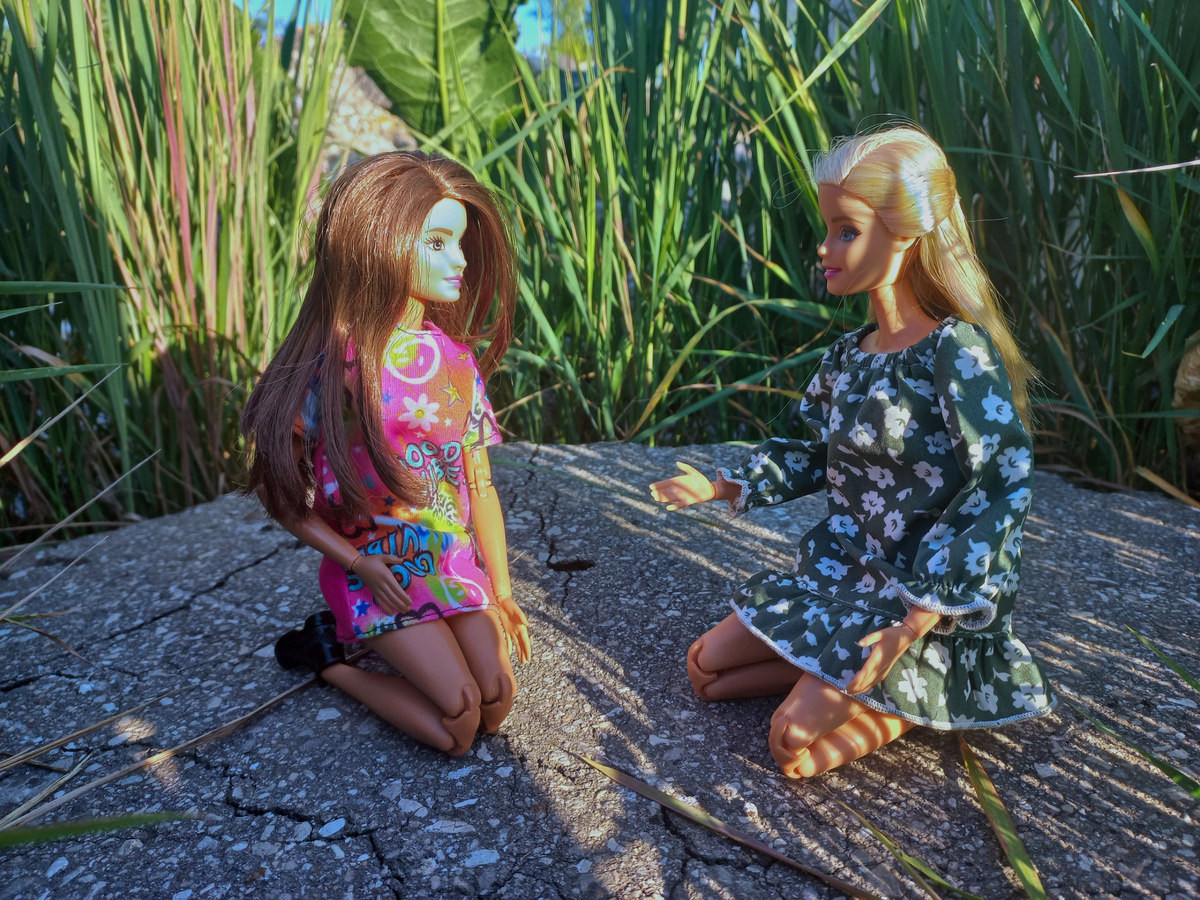 Фрэн и Кэсс