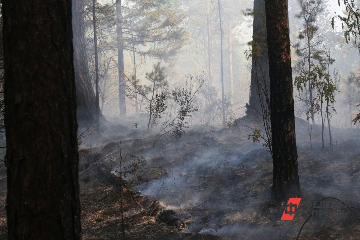 Огонь распространяется молниеносно.  Фото: Фото: ФедералПресс / Евгений Поторочин