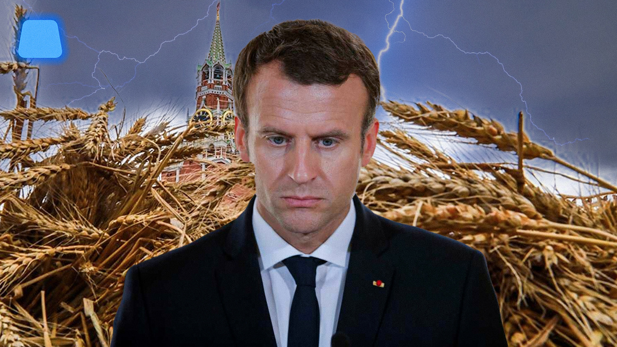 Фото: Метаметрика