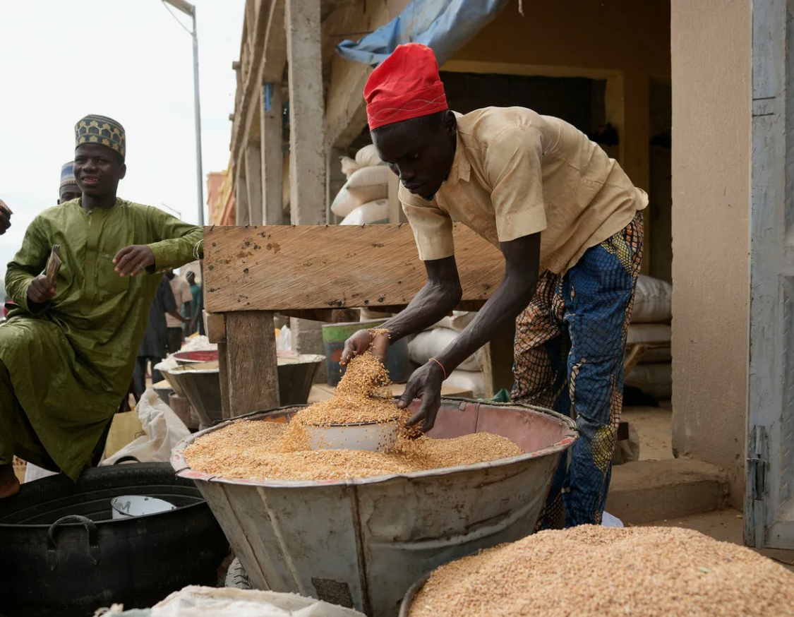 Фото из открытых источников