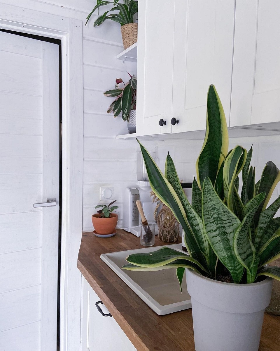    Соцсети блогера murrmariya