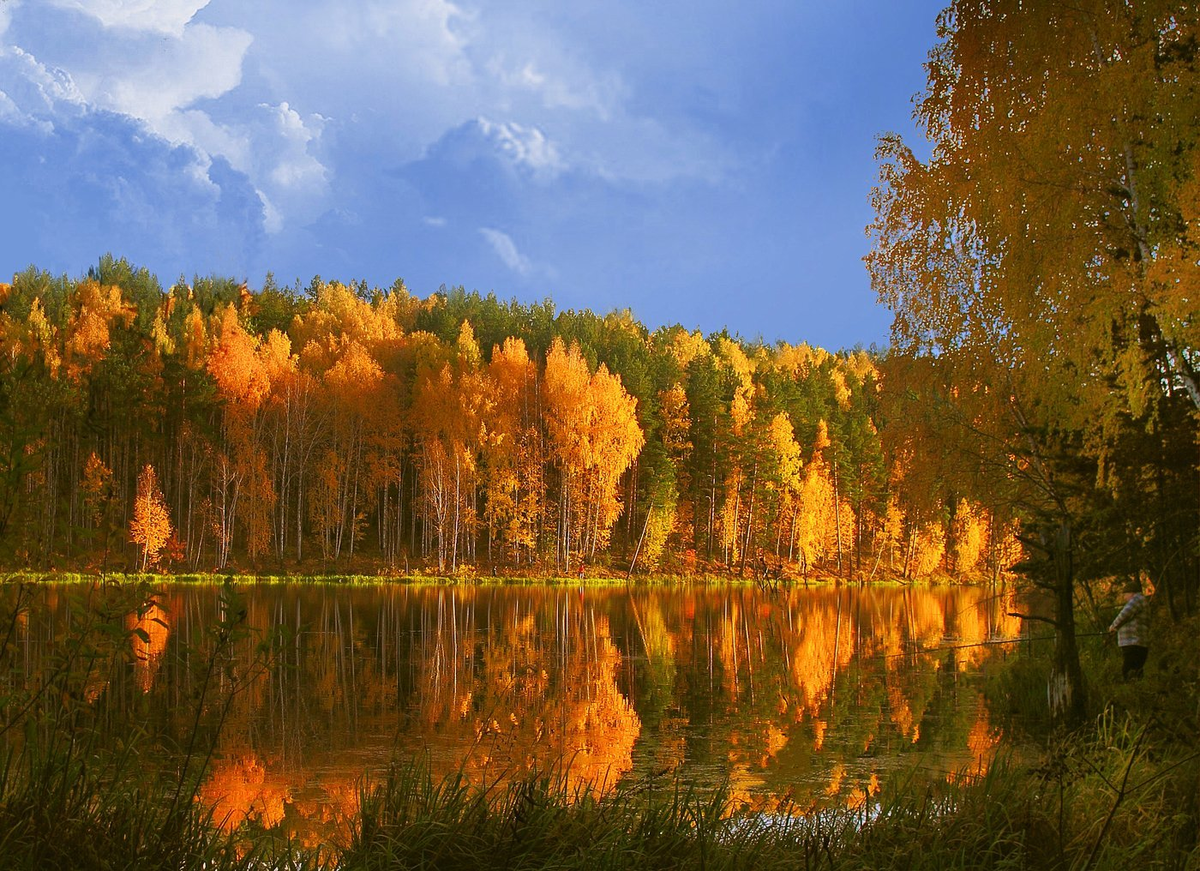 яндекс картинки