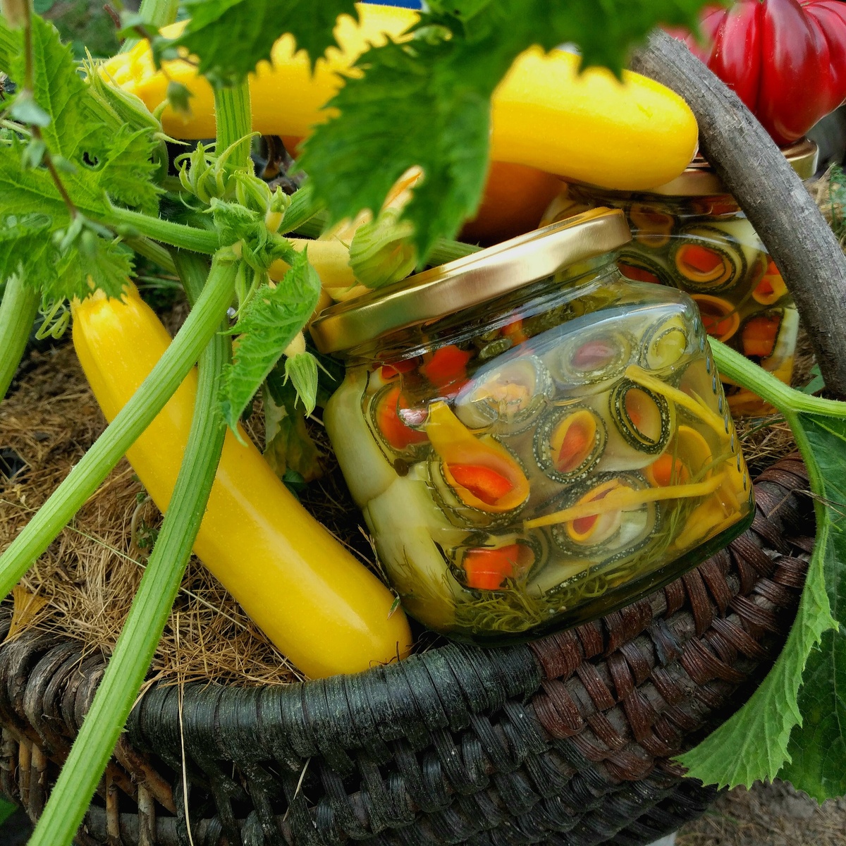    Маринованные рулетики из кабачков