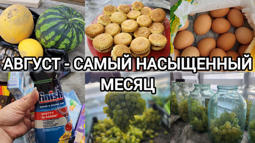 ВЛОГ🍉КОМПОТ ИЗ ВИНОГРАДА🍇РАСПАКОВКА ЧИЖИК И ФИКС ПРАЙС🛍ДОМАШНЕЕ ПЕЧЕНЬЕ 🍪