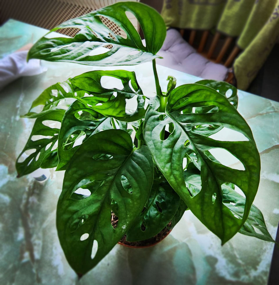 8 марта 2023 года