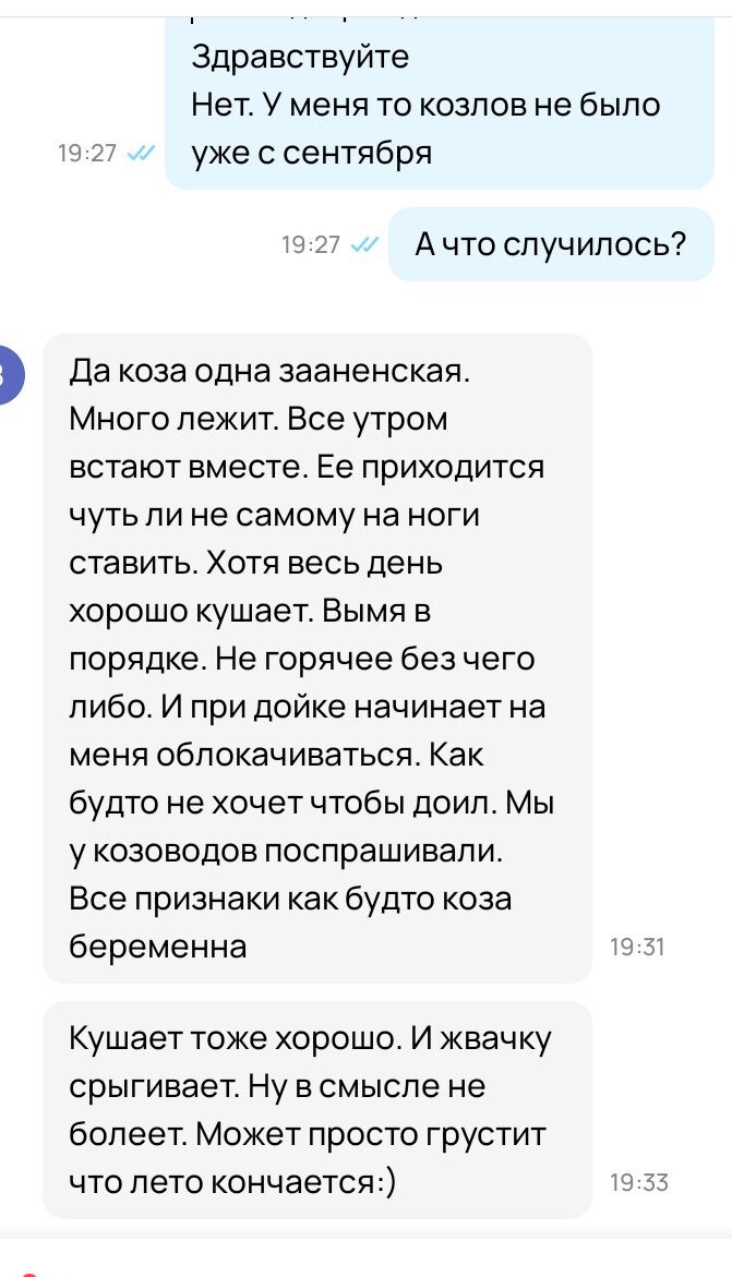Скрин автора
