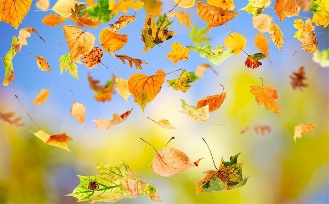 Источник фото: polinka.top