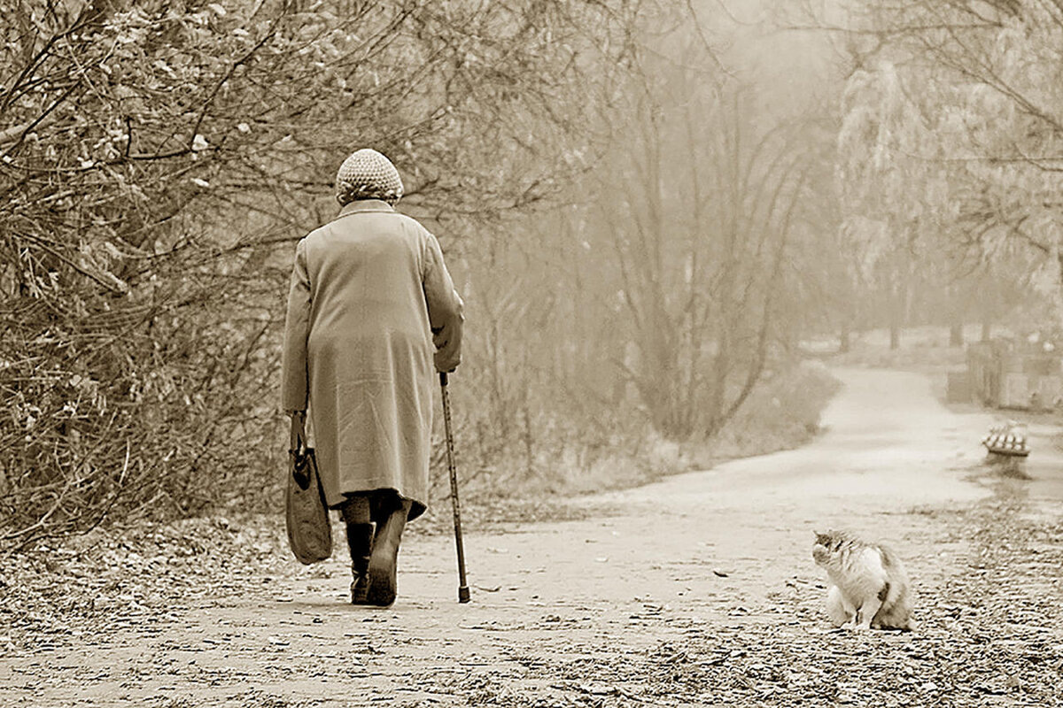 От села до села  8 километров.
