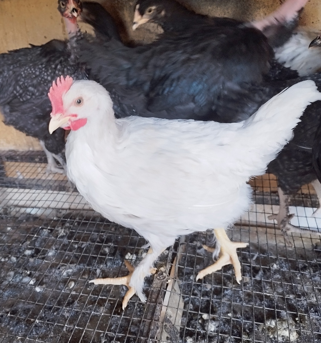 Фото автора канала