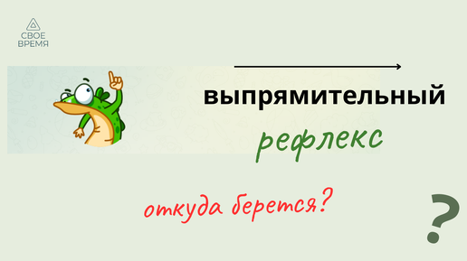 Откуда берется 