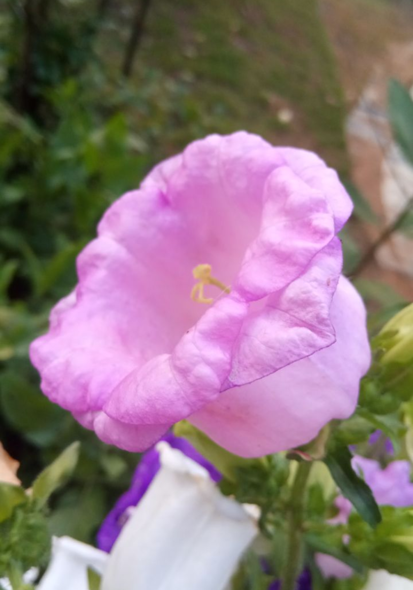 Чашка с блюдцем