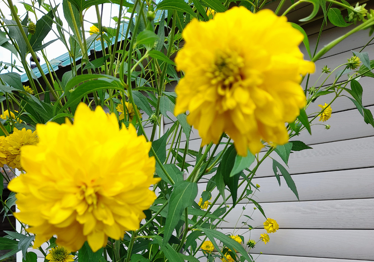 Фото автора канала