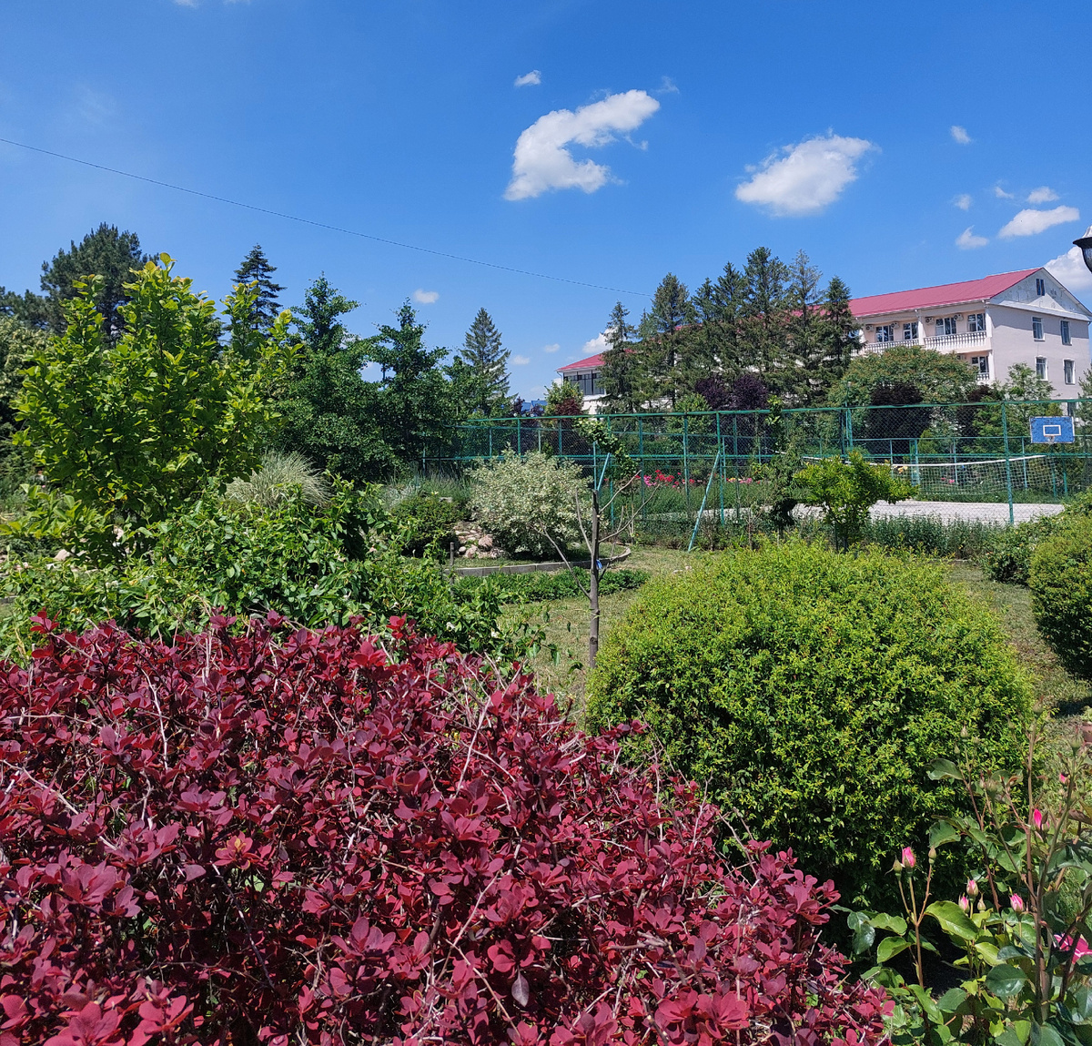 Фото автора