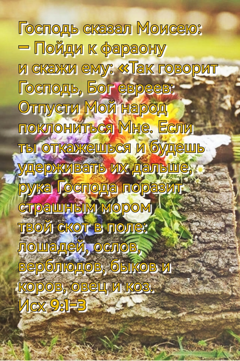 Книга Исход, Глава 9, Стихи 1-3