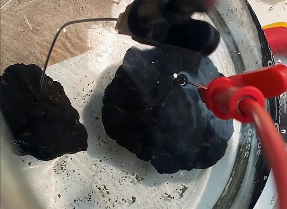 Полиметаллические конкреции, собранные с океанического дна, погружённые в имитацию морской воды в лаборатории химика Франца Гейгера в Северо-Западном университете. Изображение: Франц Гейгер / Северо-Западный университет