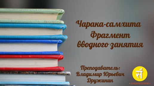 Примеры занятий. Фрагмент вводного занятия к курсу чтения 