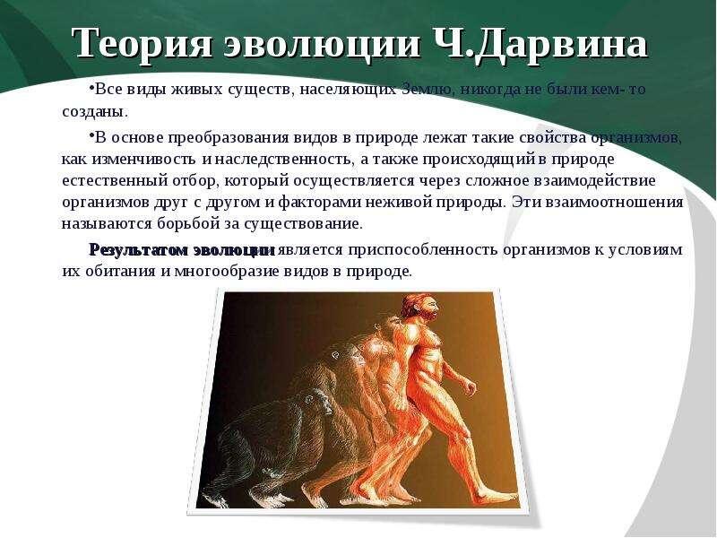 Где планка между естественным и искусственным отбором.