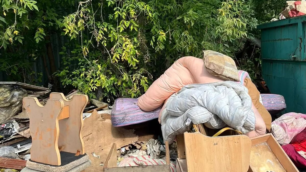     Источник: Читатель/kursdela.biz