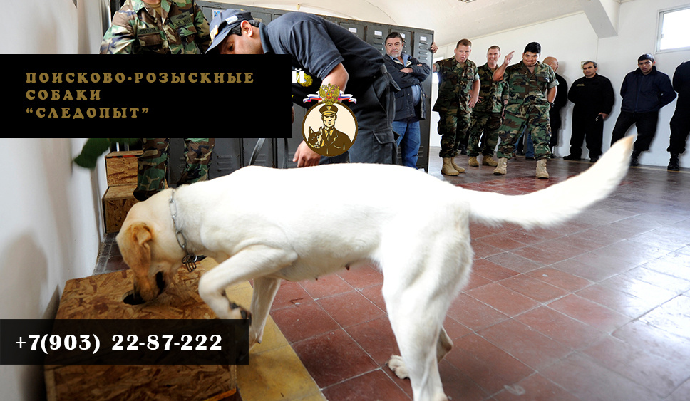 Проверка на безопасность конференций, совещаний, банкетов, торжеств