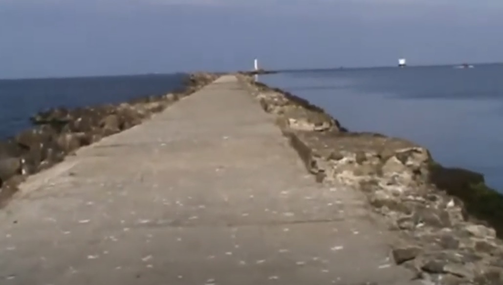  Личное фото. Молв устье р. Даугава, Латвия. 2018 г.