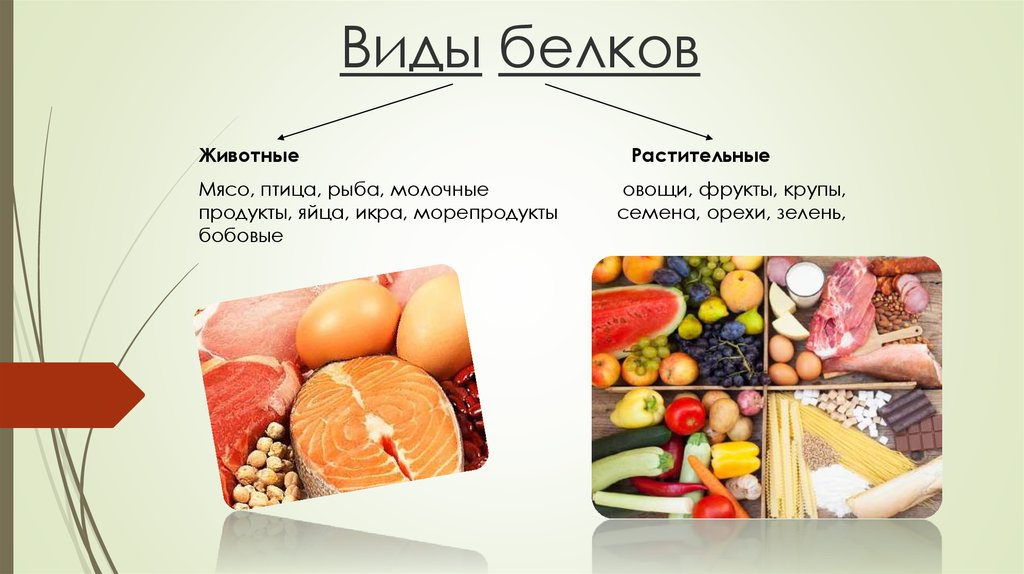 примеры продуктов из которых можно получить белок