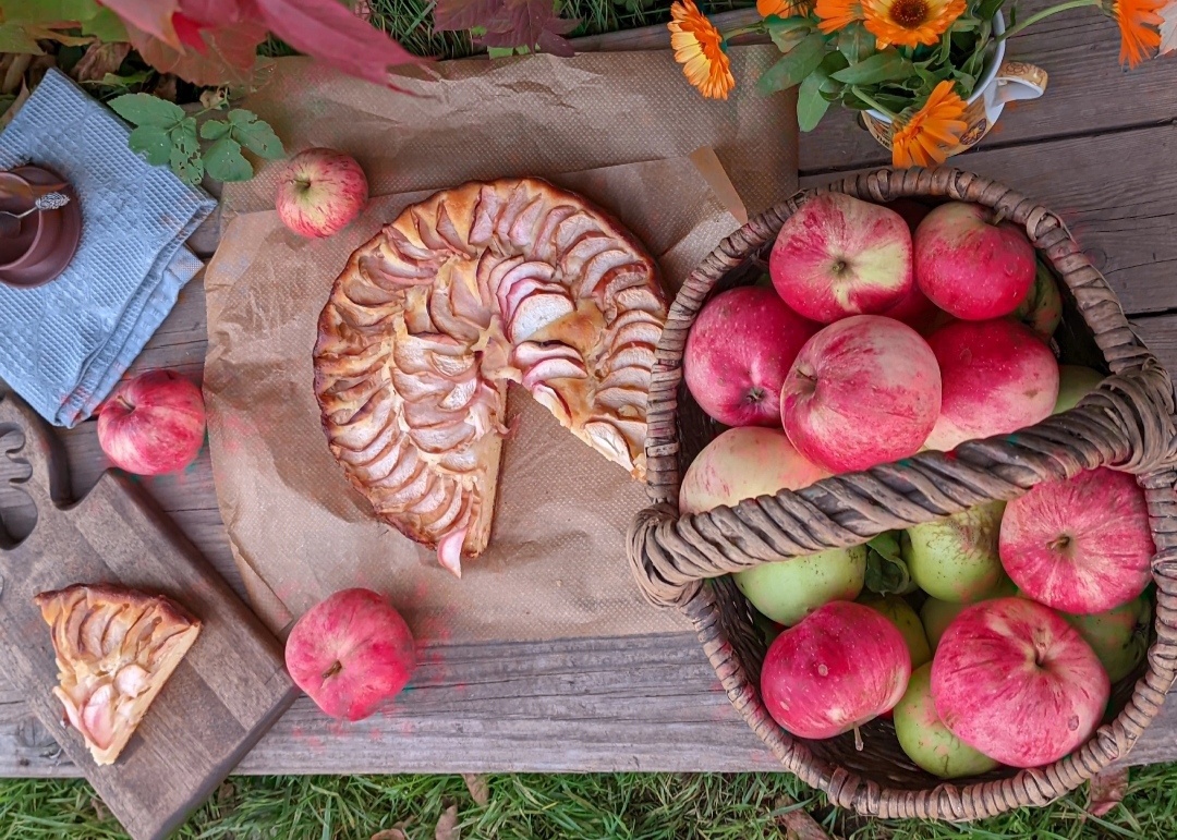 Особое удовольствие насладиться кусочком вкусного пирога на природе с чашечкой чая