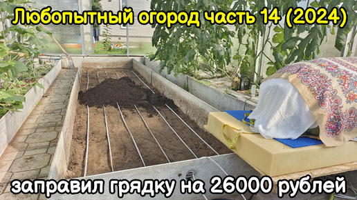 Любопытный огород часть 14 (2024).