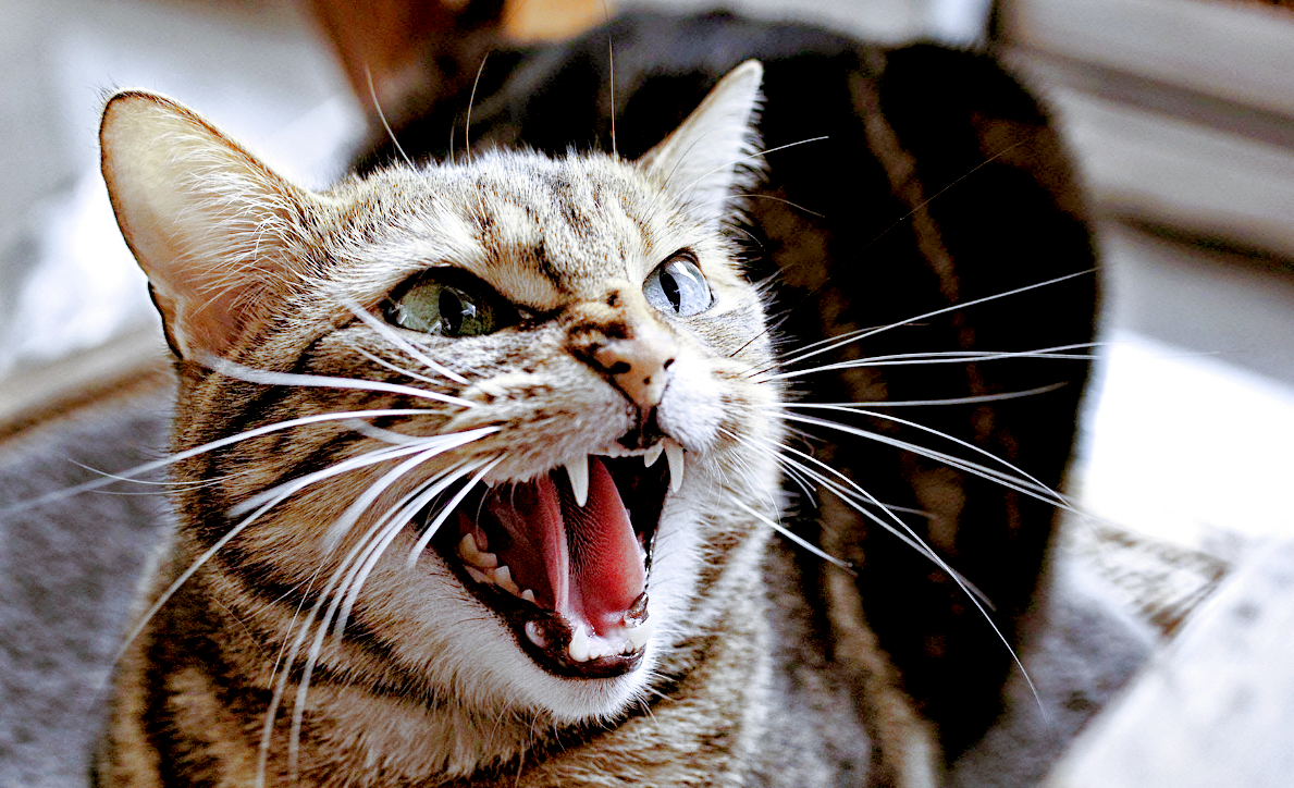 Эй, не стойте слишком близко! Фото: steamcommunity.com