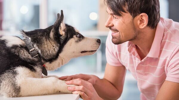    © Depositphotos / vadimphoto1@gmail.com