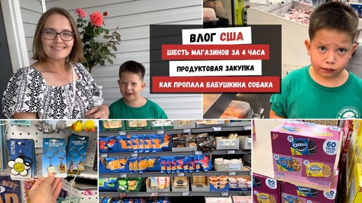 Шесть Магазинов за 4 Часа | Продуктовая Закупка | Как Пропала Бабушкина Собака | Наша Жизнь в Штатах