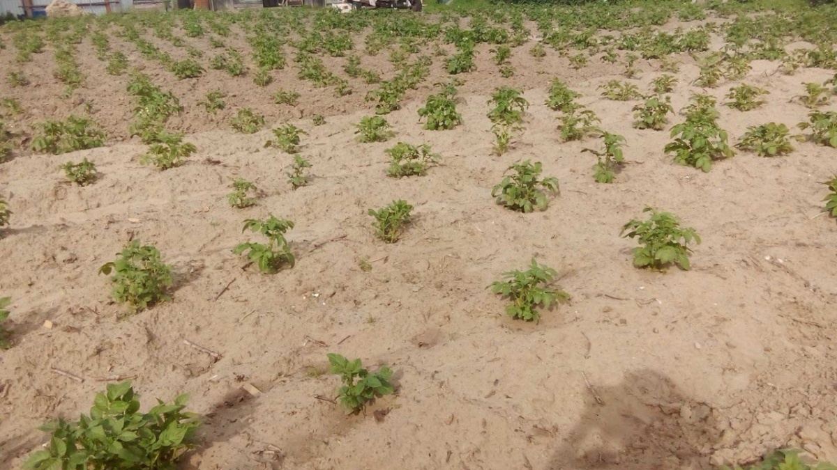 ИА SM-News Тюмень📷
