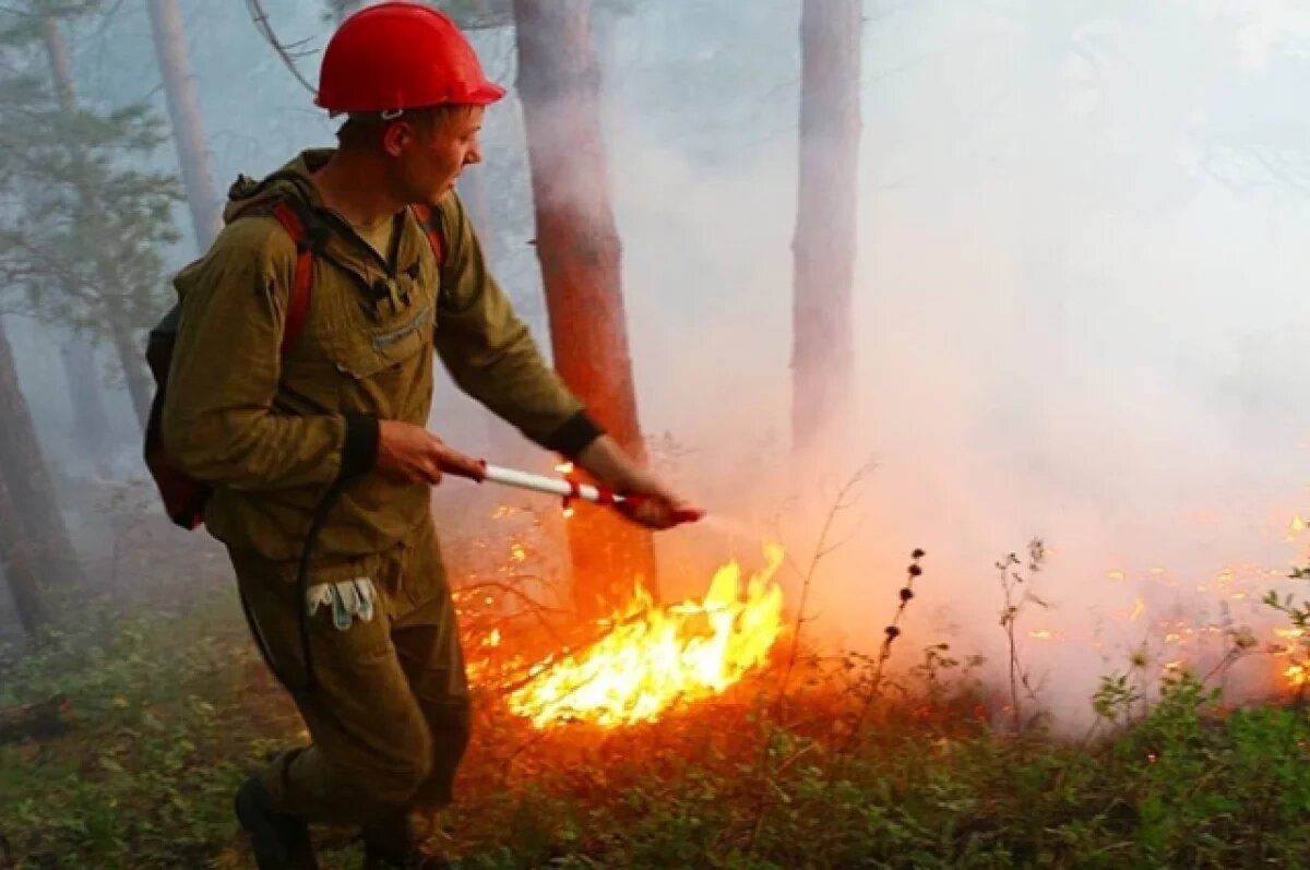    В Томской области на выходных потушили два лесных пожара