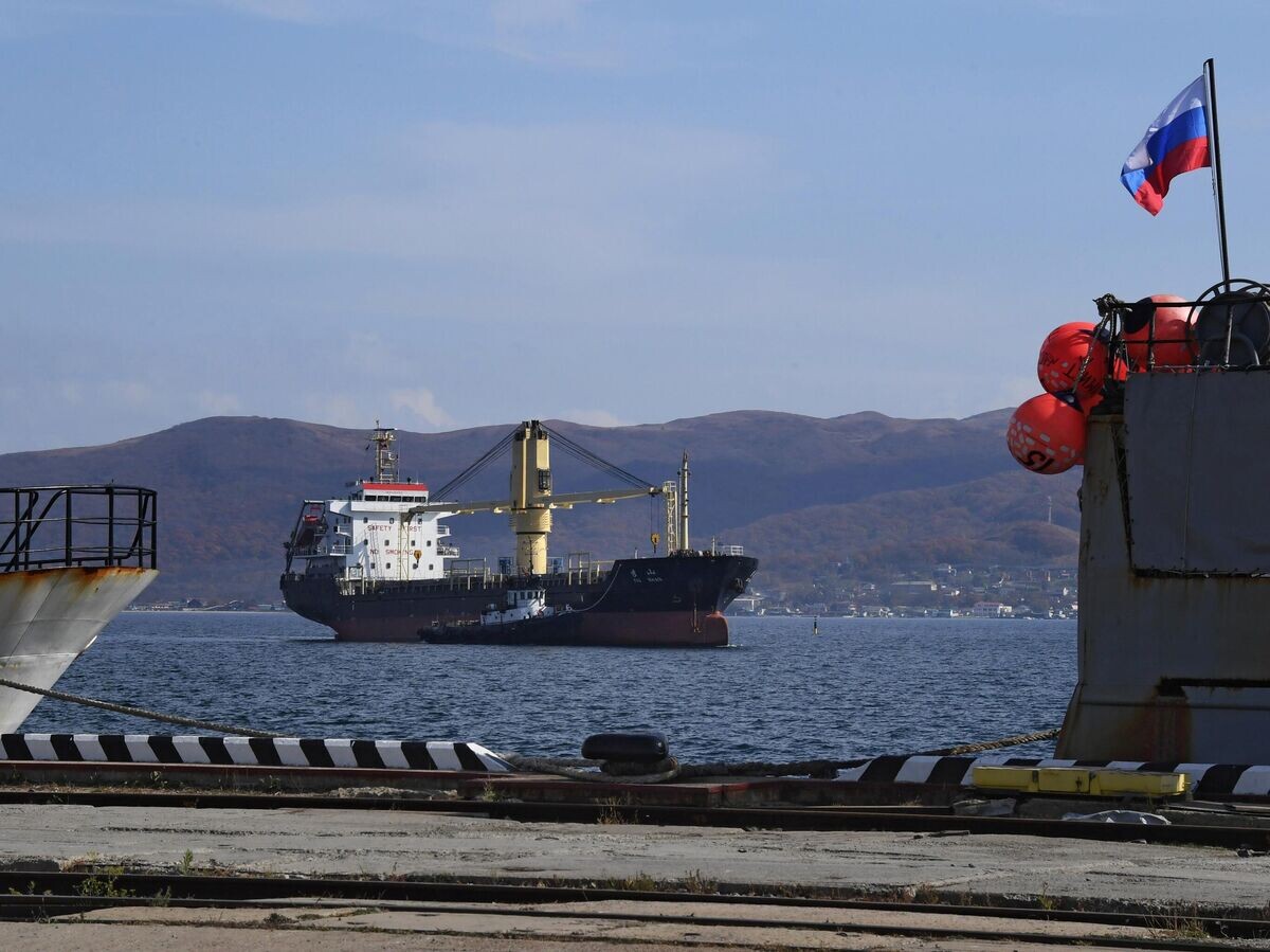    Таможенный пост Морской порт Зарубино© РИА Новости / Виталий Аньков