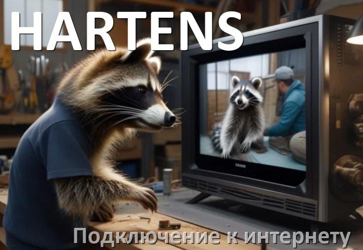 
Как подключить к интернету телевизор HARTENS через Wi-Fi роутер, кабель и телефон