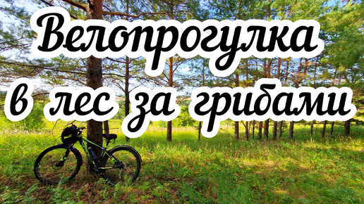 Велопрогулка в лес за грибами 🍄‍🟫🚴🍂