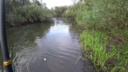 Рыбалка на Хариуса В августе с первым листом/ Разведка реки Покатился ли хариус?