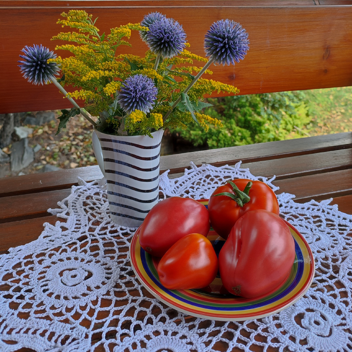 Вот! Первые помидоры сняты третьего августа. Праздник первого помидора 🥳