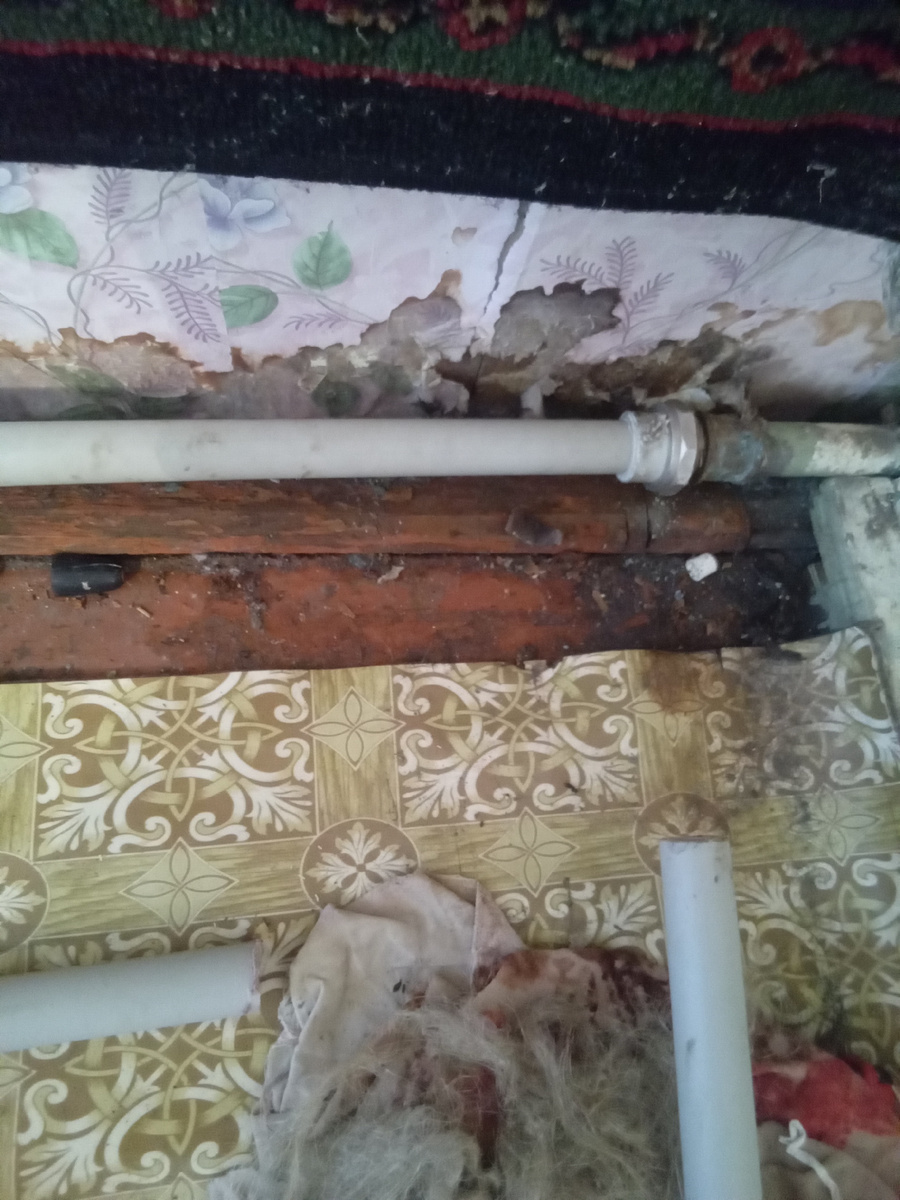 Фото автора. 