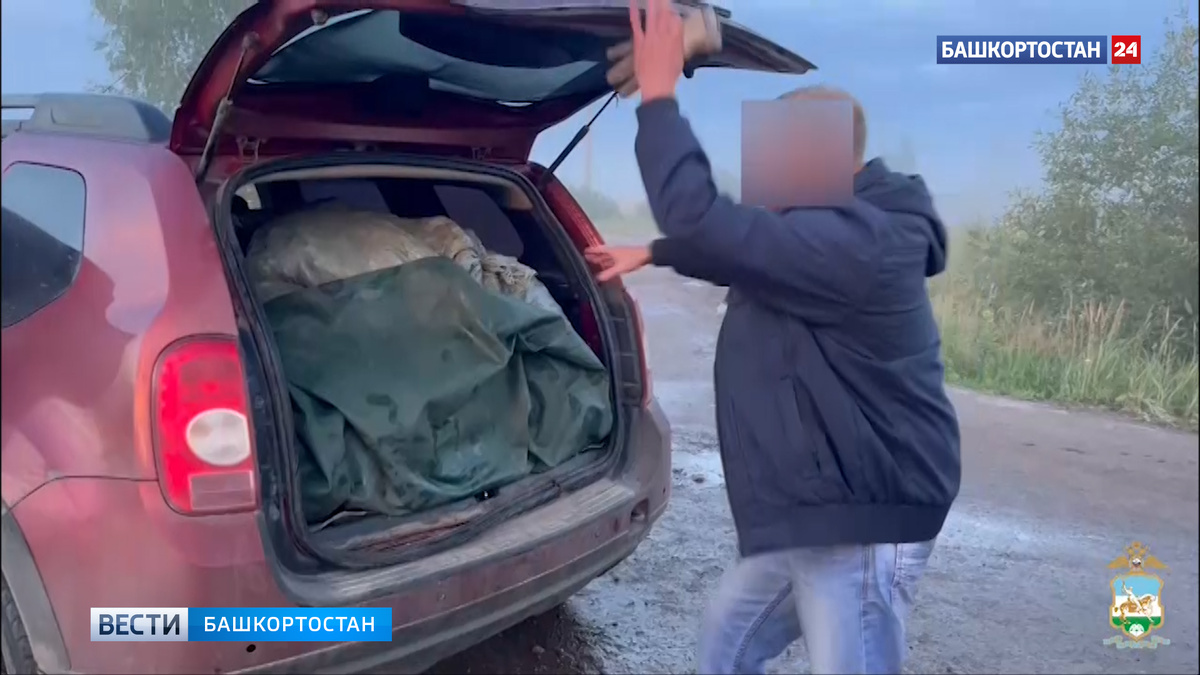    В Башкирии задержали мужчину, который незаконно перевозил в иномарке более 11 тысяч живых раков