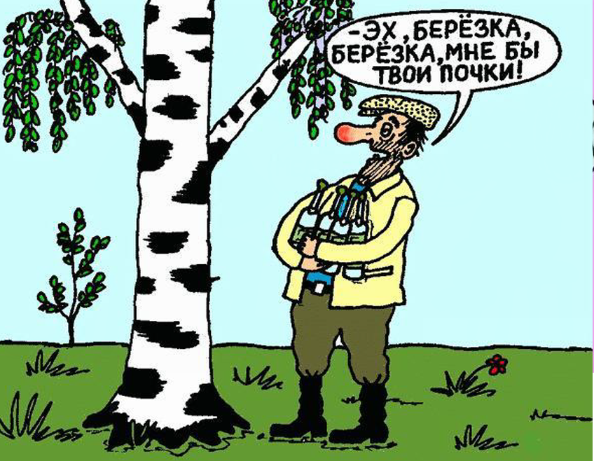 художник Александр Саламатин (яндекс-картинки)