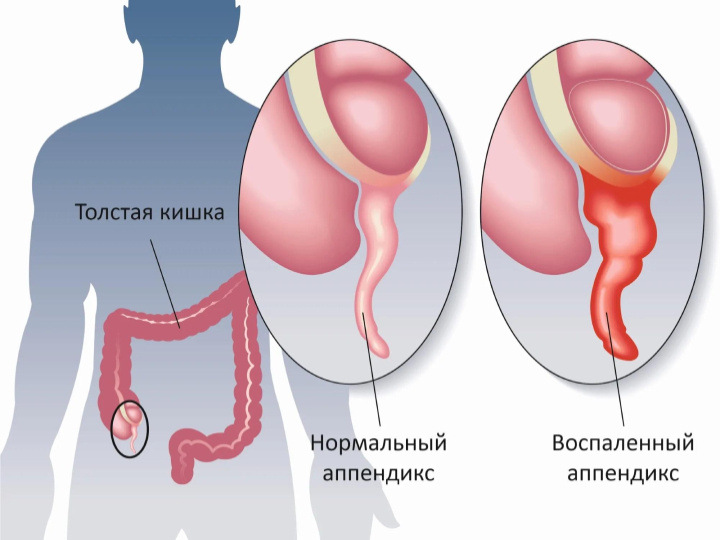 Источник: https://fotobase.co/