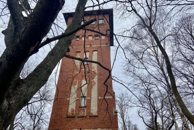   Фото из архива Калининград.Ru